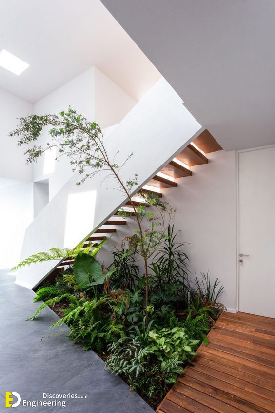 Under-stair-garden.jpg