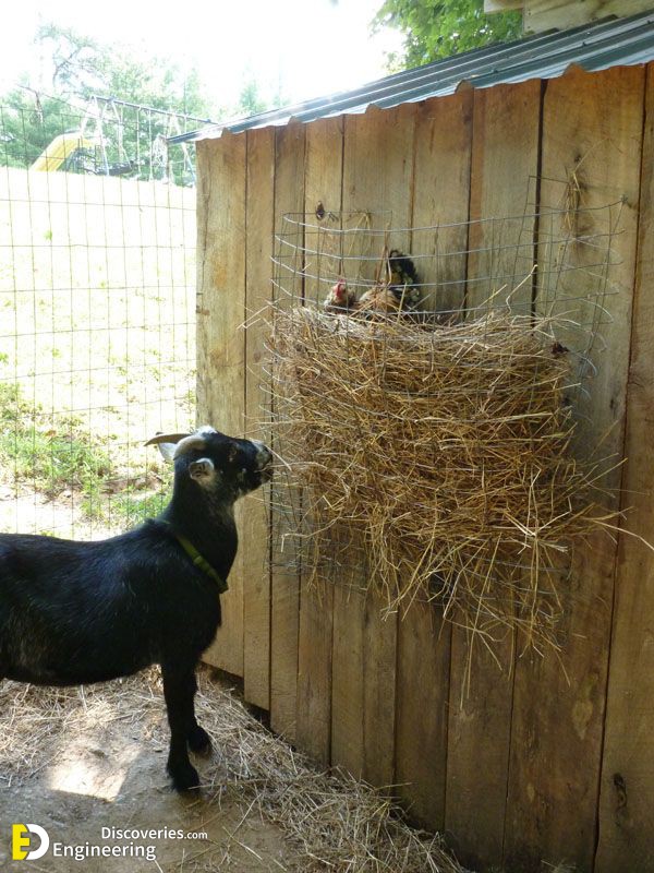 fc3688850ff83f9dce1509a54048335a-goat-feeder-enchanted-tree.jpg