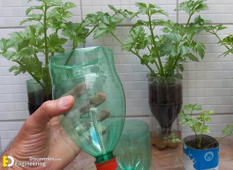 How To Water Your Garden Plants While You’re Away | Engineering ...