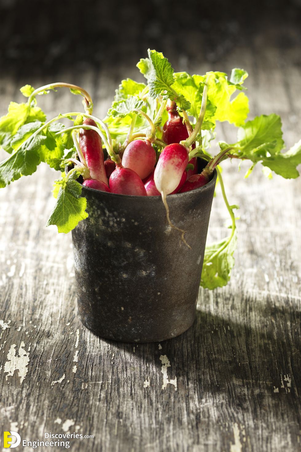 radishes-in-vintage-metal-pot-royalty-free-image-605373917-1564075722.jpg