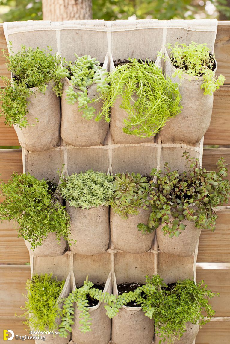 vertical-garden-ideas-shoe-planters-1659020749.jpeg
