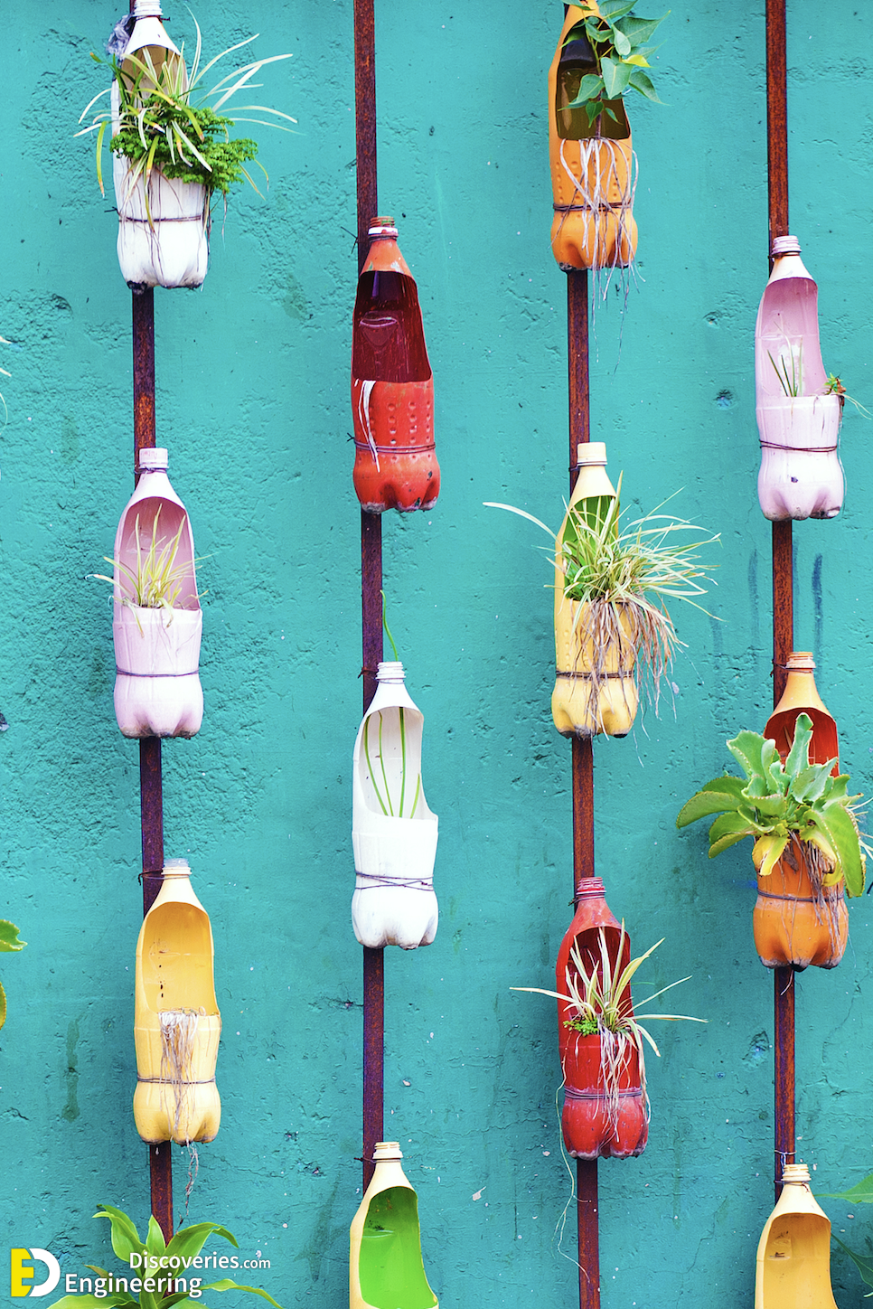 vertical-garden-ideas-water-bottle-planters-1658977152.png