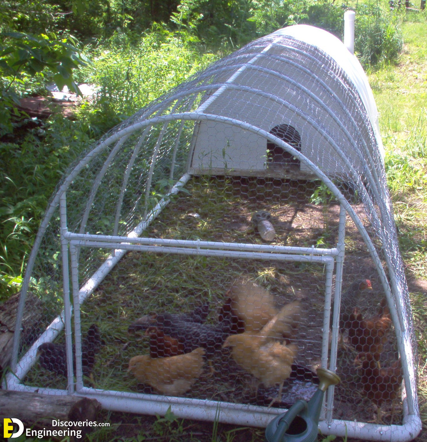 1620037368_6-p-kuryatnik-iz-parnika-na-uchastke-6.jpg