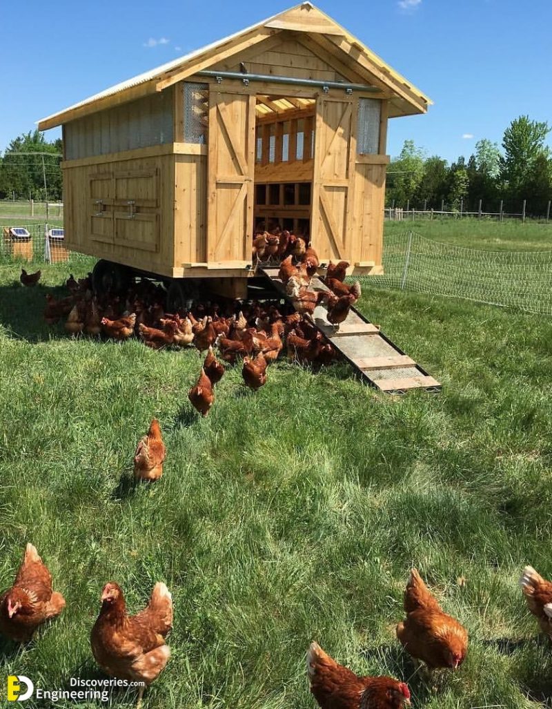 53+ Ideas For Having Chicken Coops In Your Backyard | Engineering ...