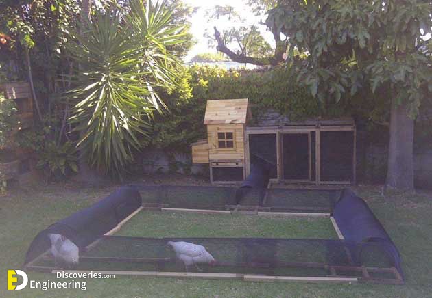 backyard-chicken-coop-with-tunnel-11.jpg
