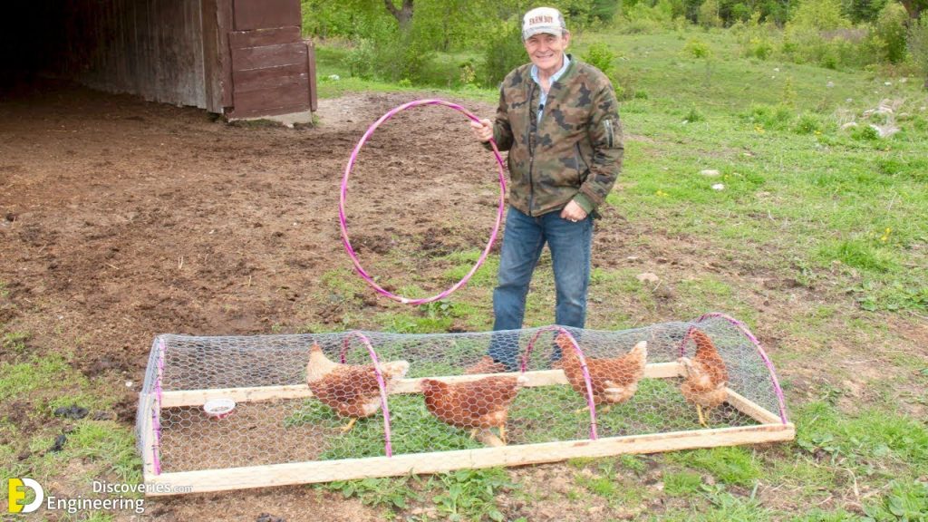 How To Build A DIY Chicken Tunnel In Your Backyard Engineering