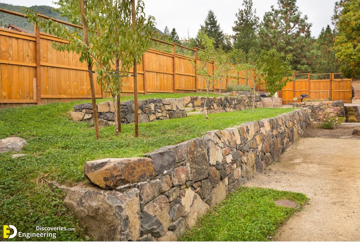 retaining-wall-with-fruit-treesx.jpg