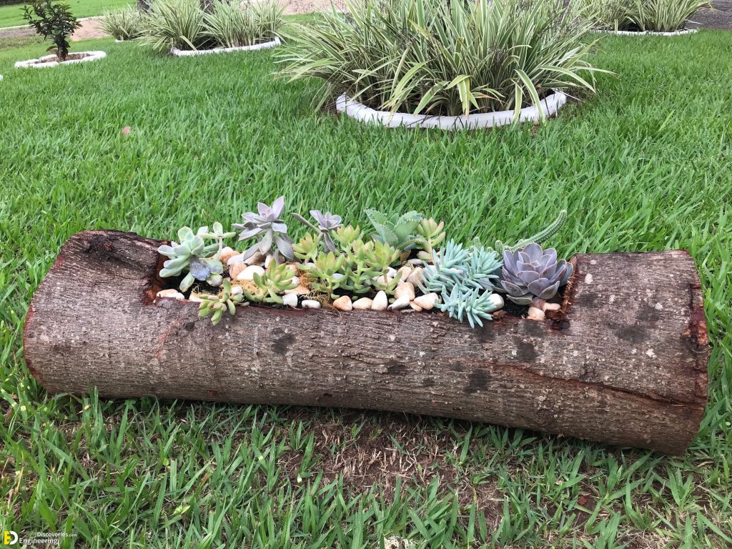 How To Make A Garden Planter Out Of Old Logs Engineering Discoveries