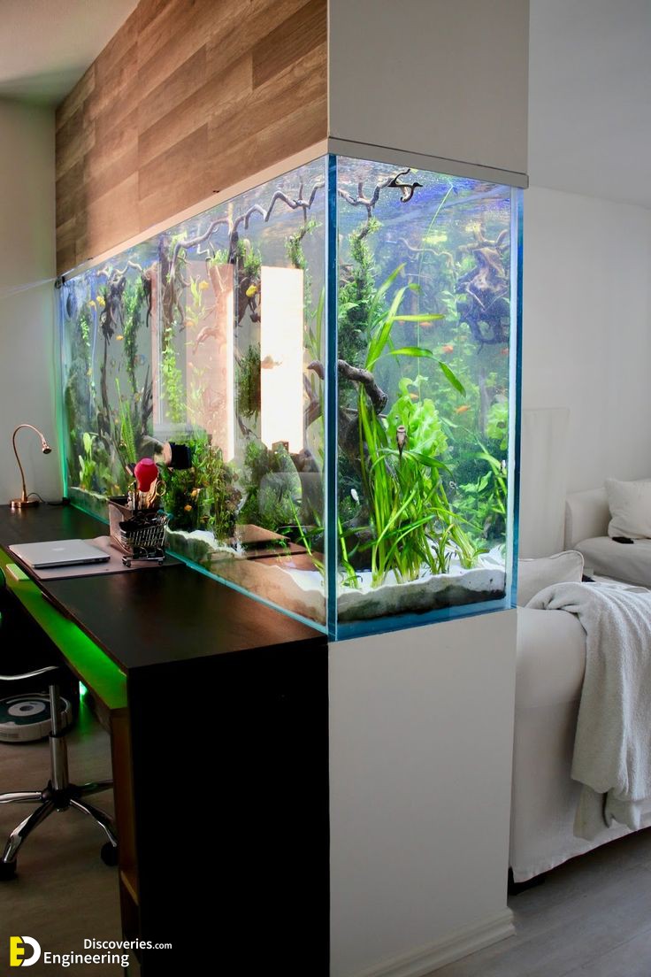 1620595591_37-p-akvarium-vstroennii-v-stenu-foto-42.jpg