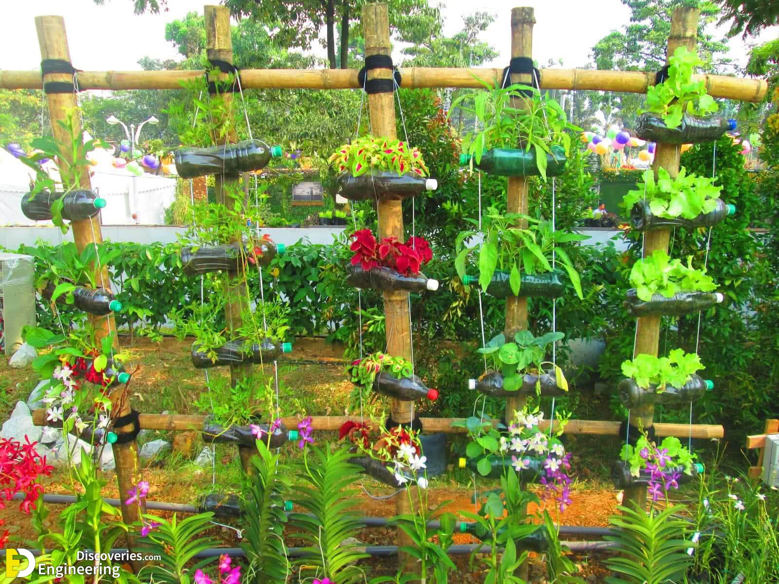 bottle-gardening.jpg