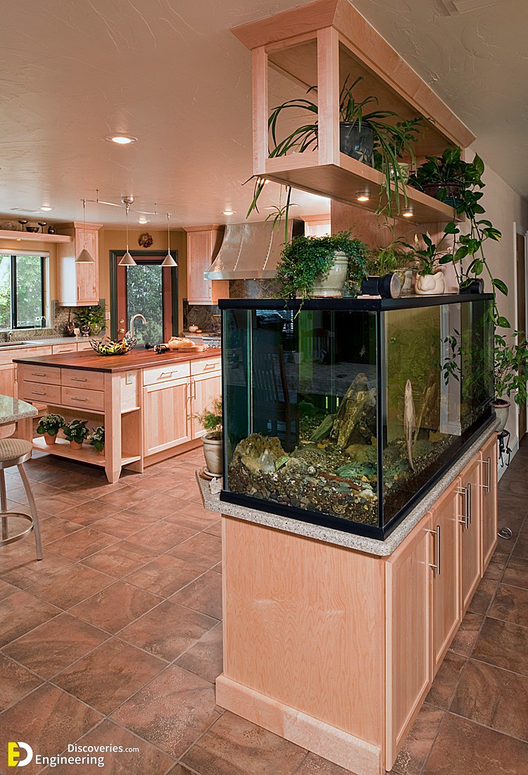 fish-tank-room-break-custom-design-construction-and-interiors-inc-img8de1d7f20306afcd_16-5355-1-059cbf6.jpg