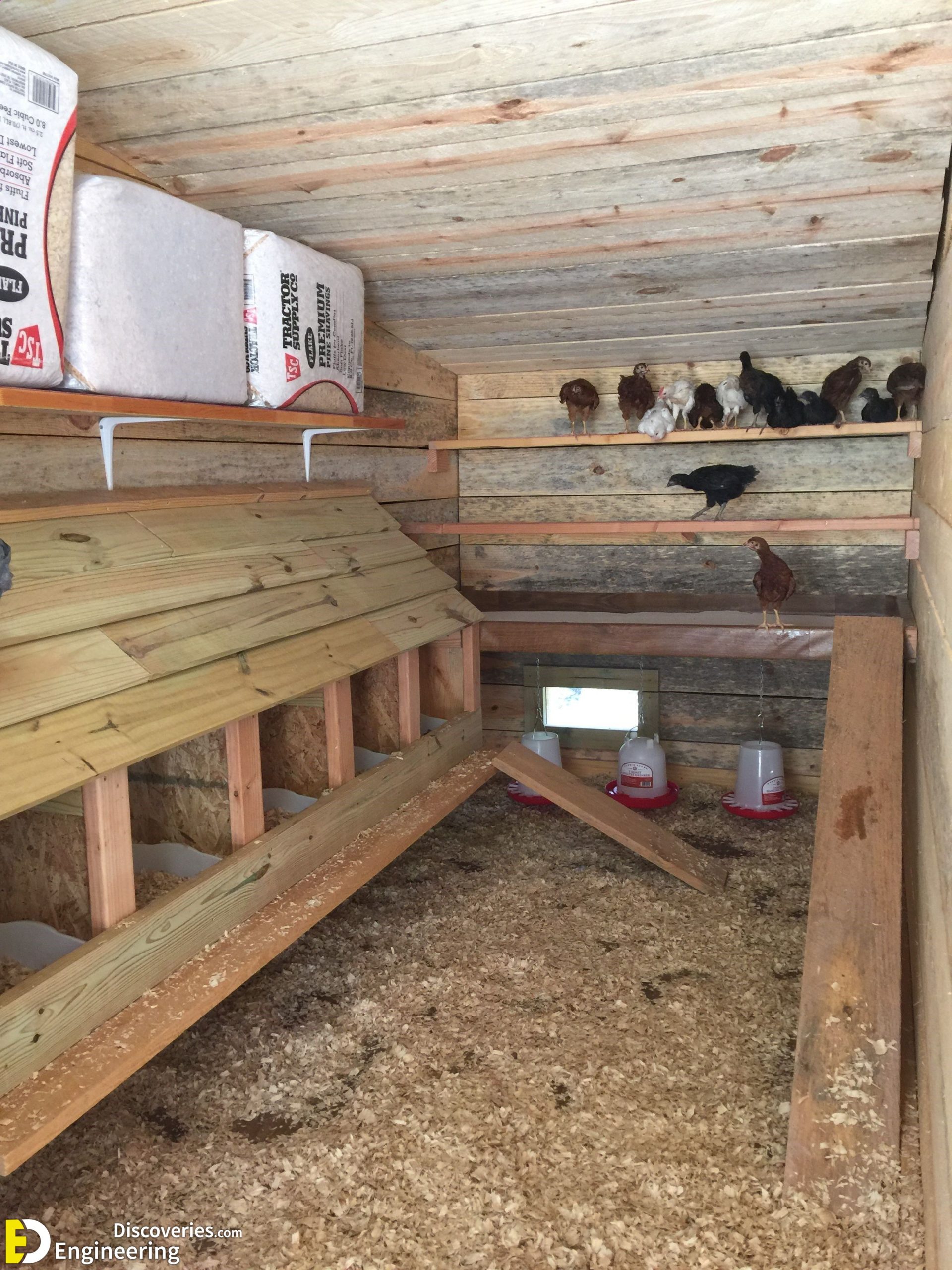 1-engineering-discoveries-322B-creative-chicken-keeping-ideas-at-home-scaled.jpg