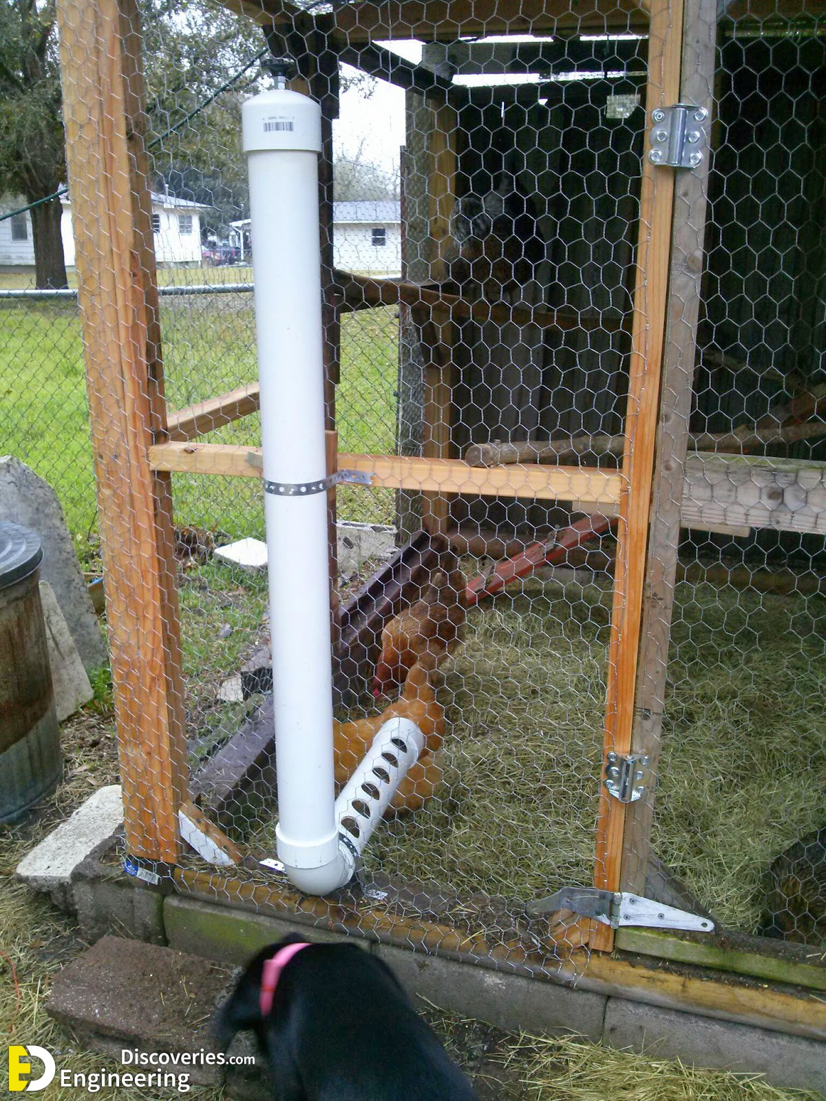 13-engineering-discoveries-322B-creative-chicken-keeping-ideas-at-home.jpg
