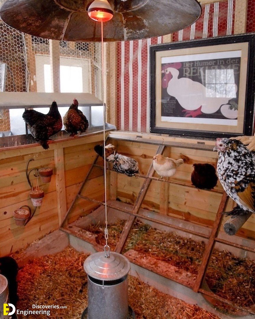 14-engineering-discoveries-322B-creative-chicken-keeping-ideas-at-home.jpg