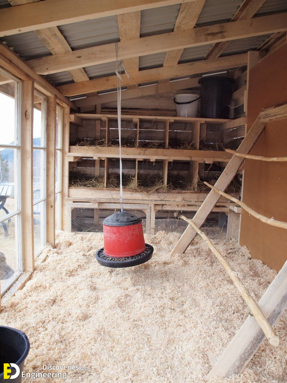 22-engineering-discoveries-322B-creative-chicken-keeping-ideas-at-home.jpg
