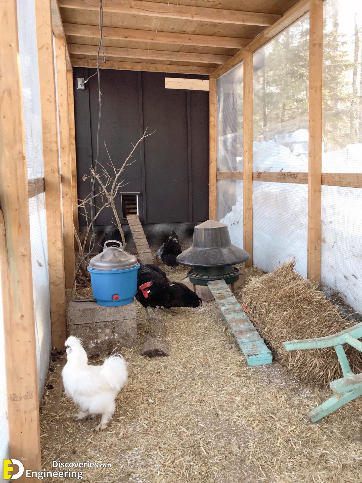 4-engineering-discoveries-322B-creative-chicken-keeping-ideas-at-home.jpg