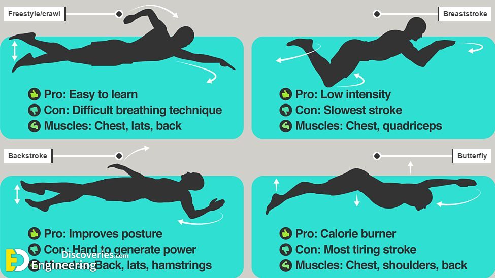 5-engineering-discoveries-5-basic-swimming-skills-everyone-needs-to-learn.jpg