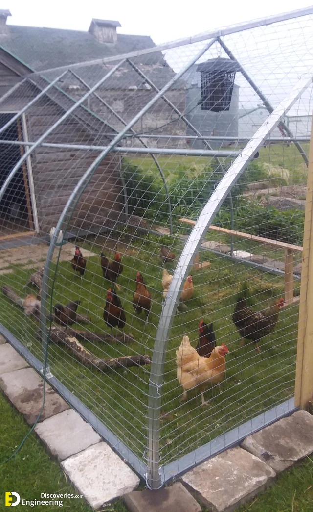 8-engineering-discoveries-322B-creative-chicken-keeping-ideas-at-home.png