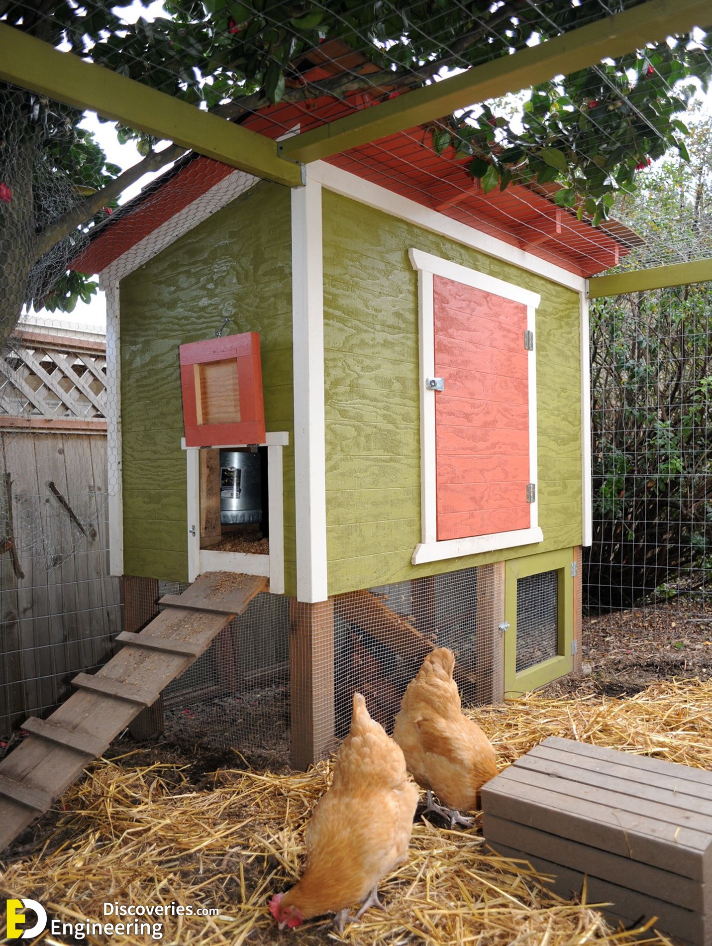 9-engineering-discoveries-322B-creative-chicken-keeping-ideas-at-home.jpg