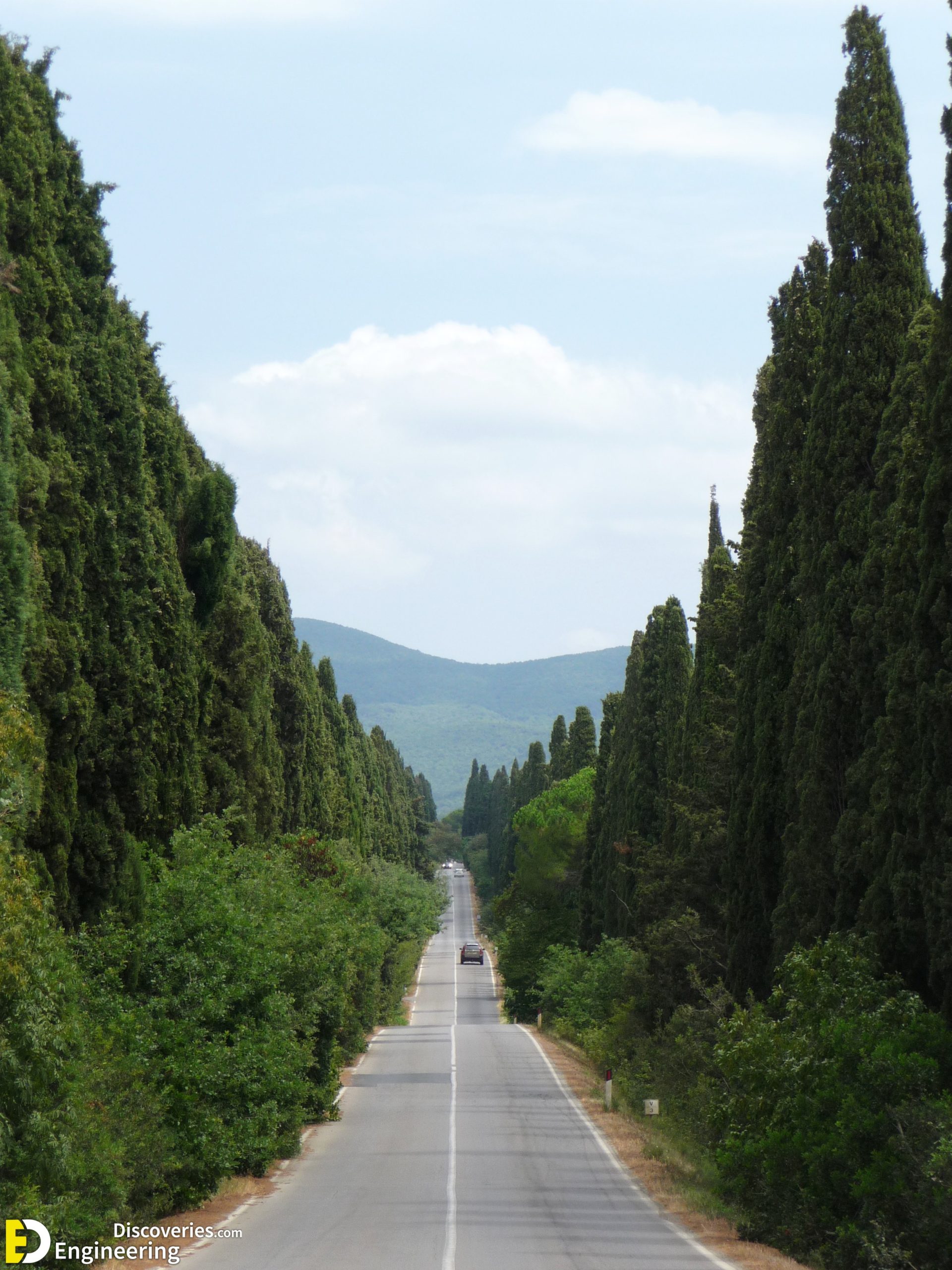 Viale_dei_Cipressi2C_Bolgheri2C_Castagneto_Carducci-scaled.jpg