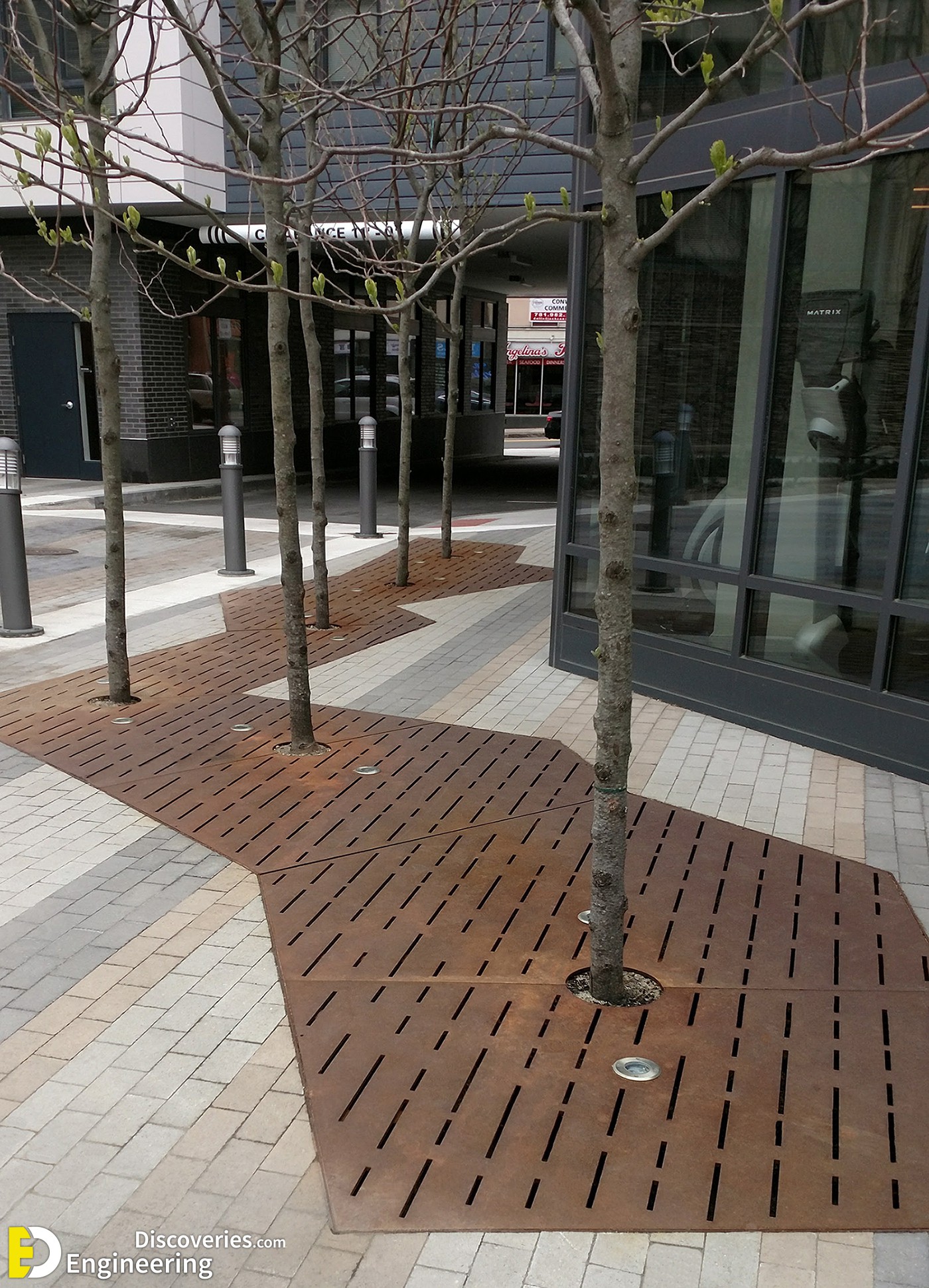10-engineering-discoveries-discover-the-hottest-modern-tree-grate-design-ideas.jpg