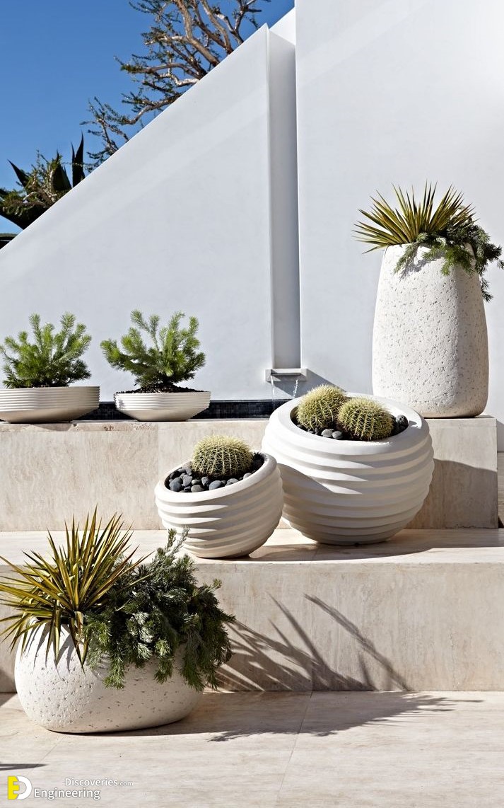 11-engineering-discoveries-stunning-aloe-vera-decor-ideas-that-will-transform-your-space.jpg