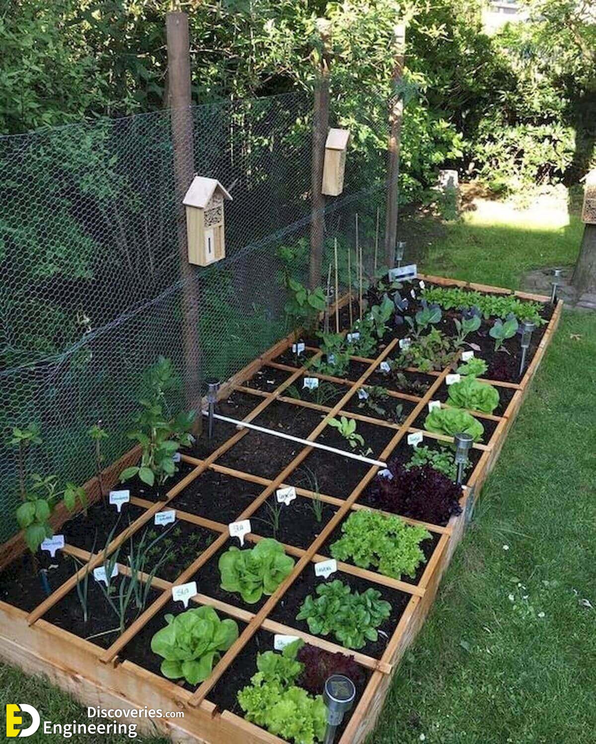 12-engineering-discoveries-eat-fresh-live-fresh-the-ultimate-guide-on-how-to-grow-fresh-and-healthy-vegetables-at-home.jpg
