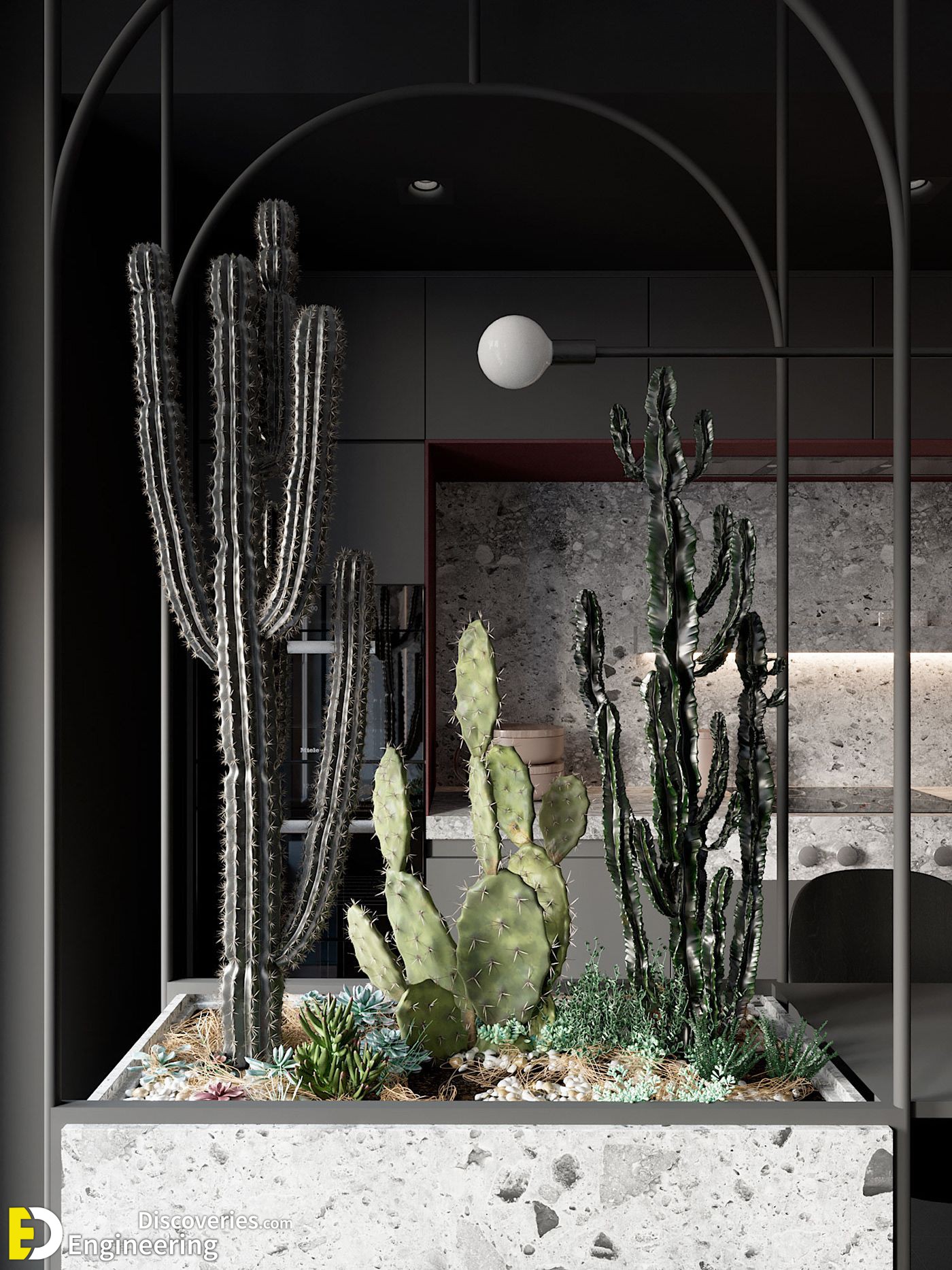 13-engineering-discoveries-stunning-aloe-vera-decor-ideas-that-will-transform-your-space.jpg