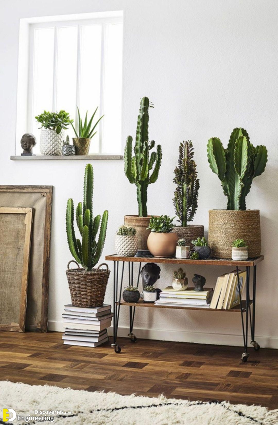 14-engineering-discoveries-stunning-aloe-vera-decor-ideas-that-will-transform-your-space.jpg