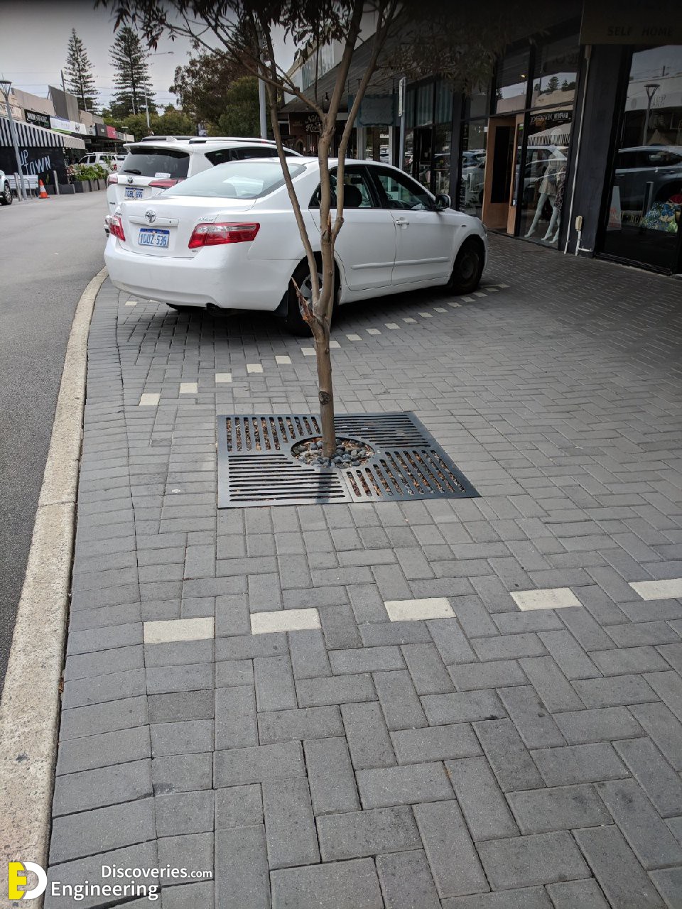 15-engineering-discoveries-discover-the-hottest-modern-tree-grate-design-ideas.jpg