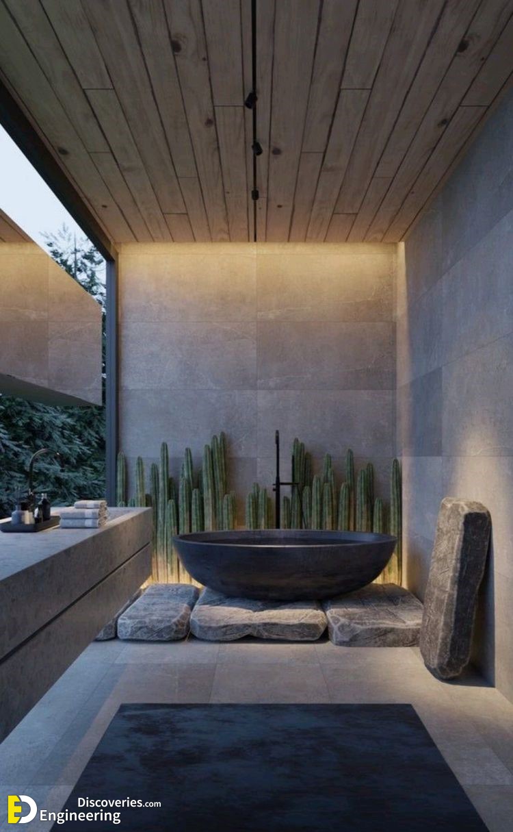 15-engineering-discoveries-stunning-aloe-vera-decor-ideas-that-will-transform-your-space.jpg