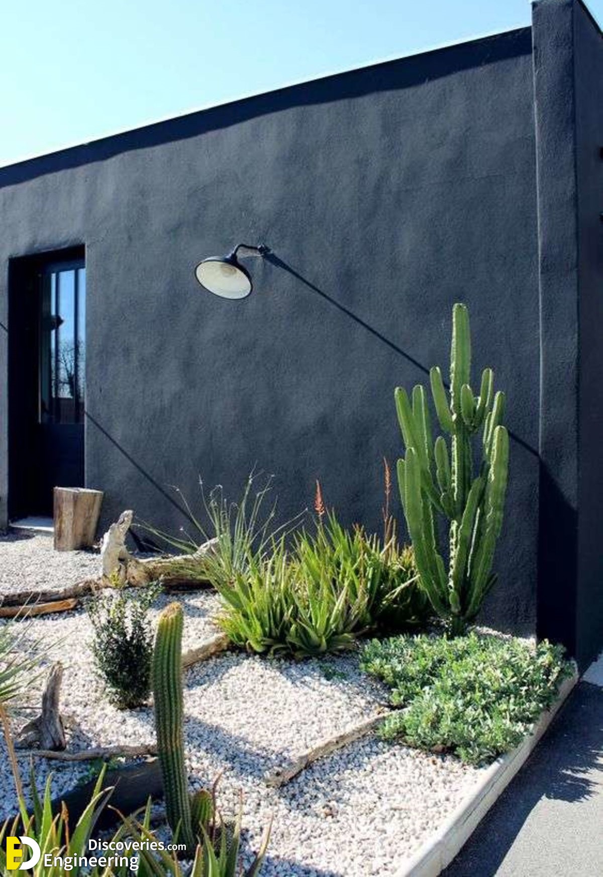16-engineering-discoveries-stunning-aloe-vera-decor-ideas-that-will-transform-your-space.jpg