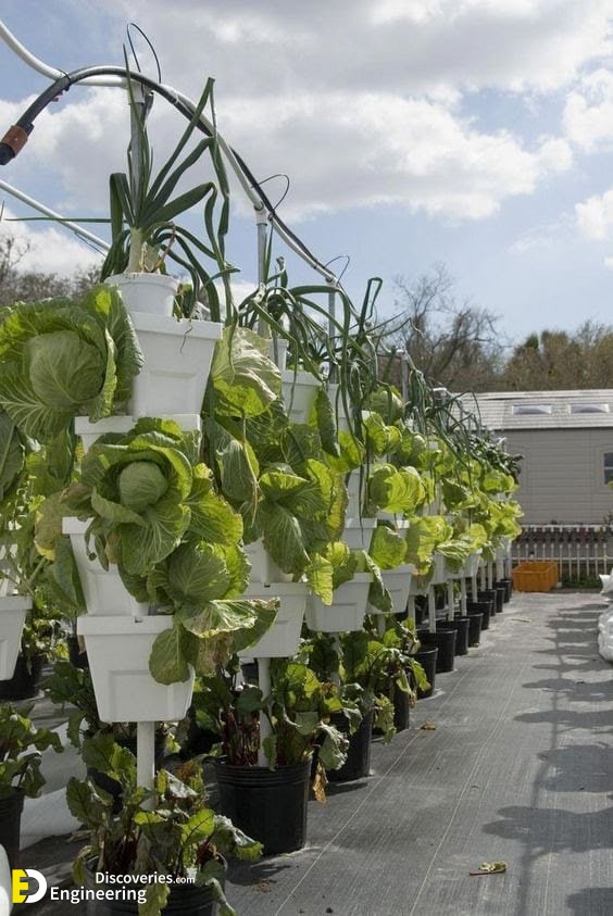 17-engineering-discoveries-eat-fresh-live-fresh-the-ultimate-guide-on-how-to-grow-fresh-and-healthy-vegetables-at-home.jpg