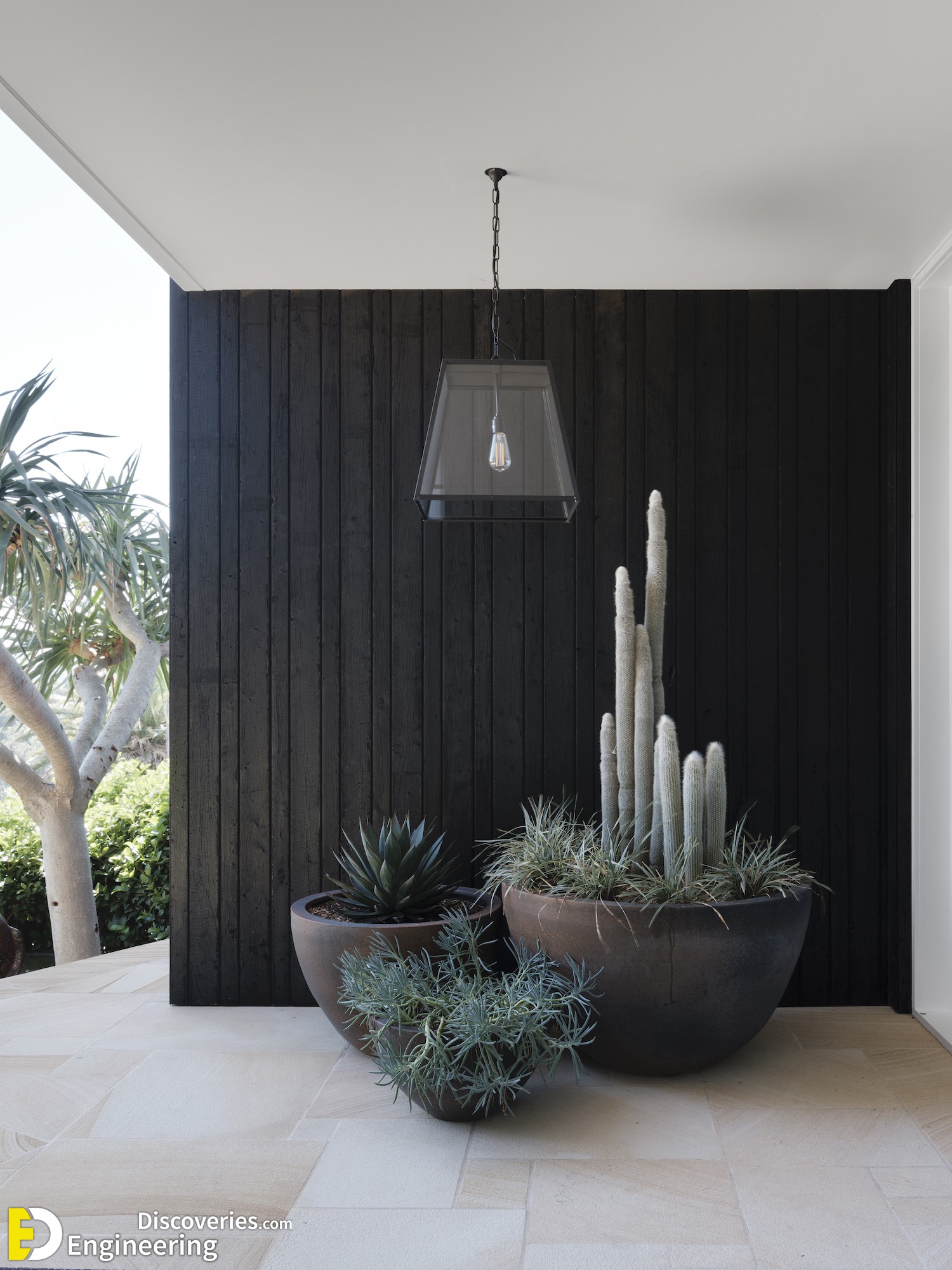 18-engineering-discoveries-stunning-aloe-vera-decor-ideas-that-will-transform-your-space.jpg