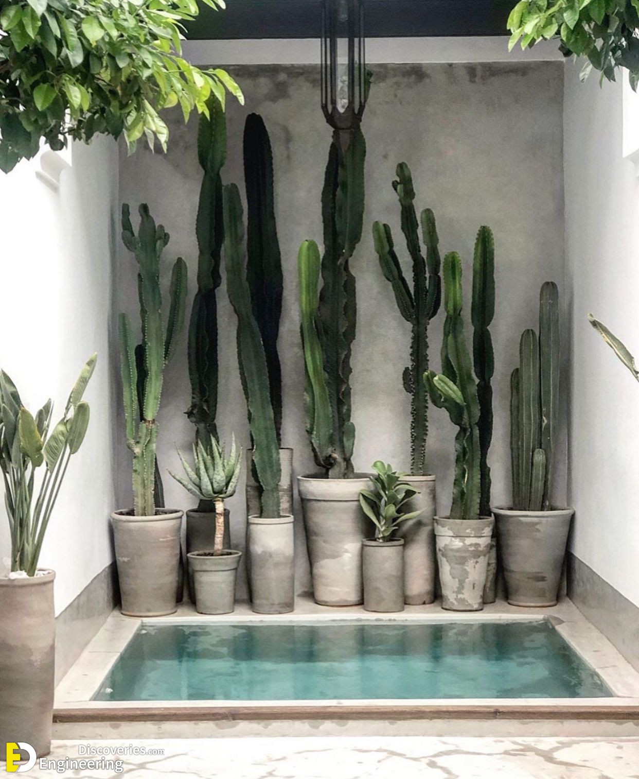 19-engineering-discoveries-stunning-aloe-vera-decor-ideas-that-will-transform-your-space.jpg