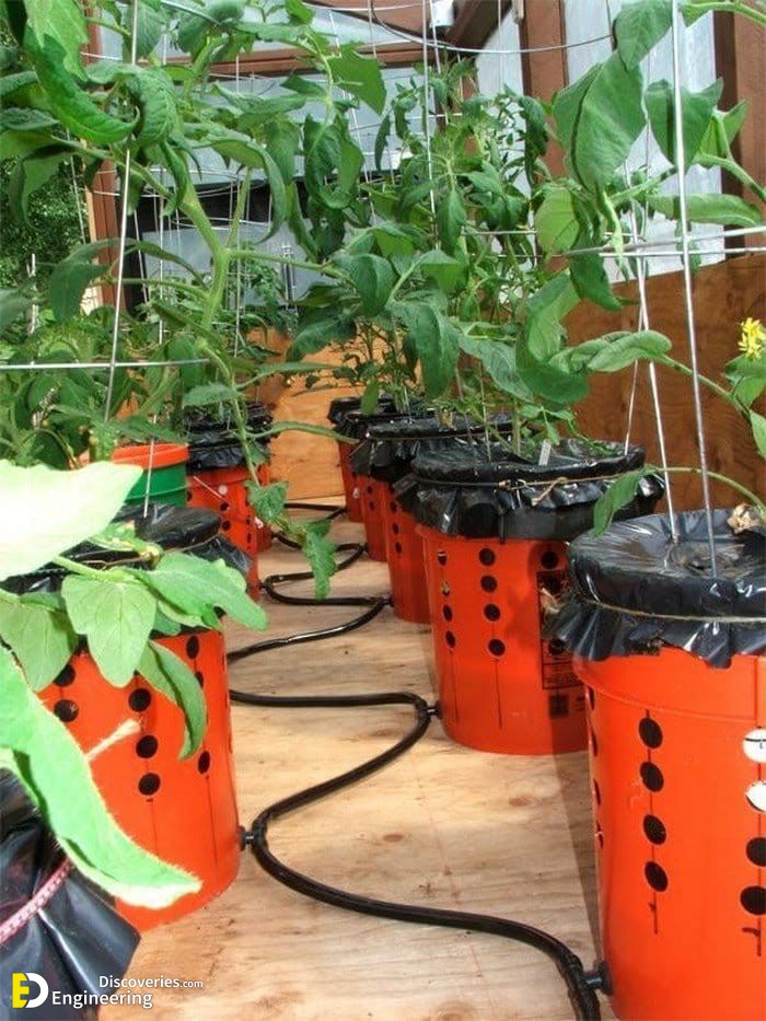 20-engineering-discoveries-eat-fresh-live-fresh-the-ultimate-guide-on-how-to-grow-fresh-and-healthy-vegetables-at-home.jpg