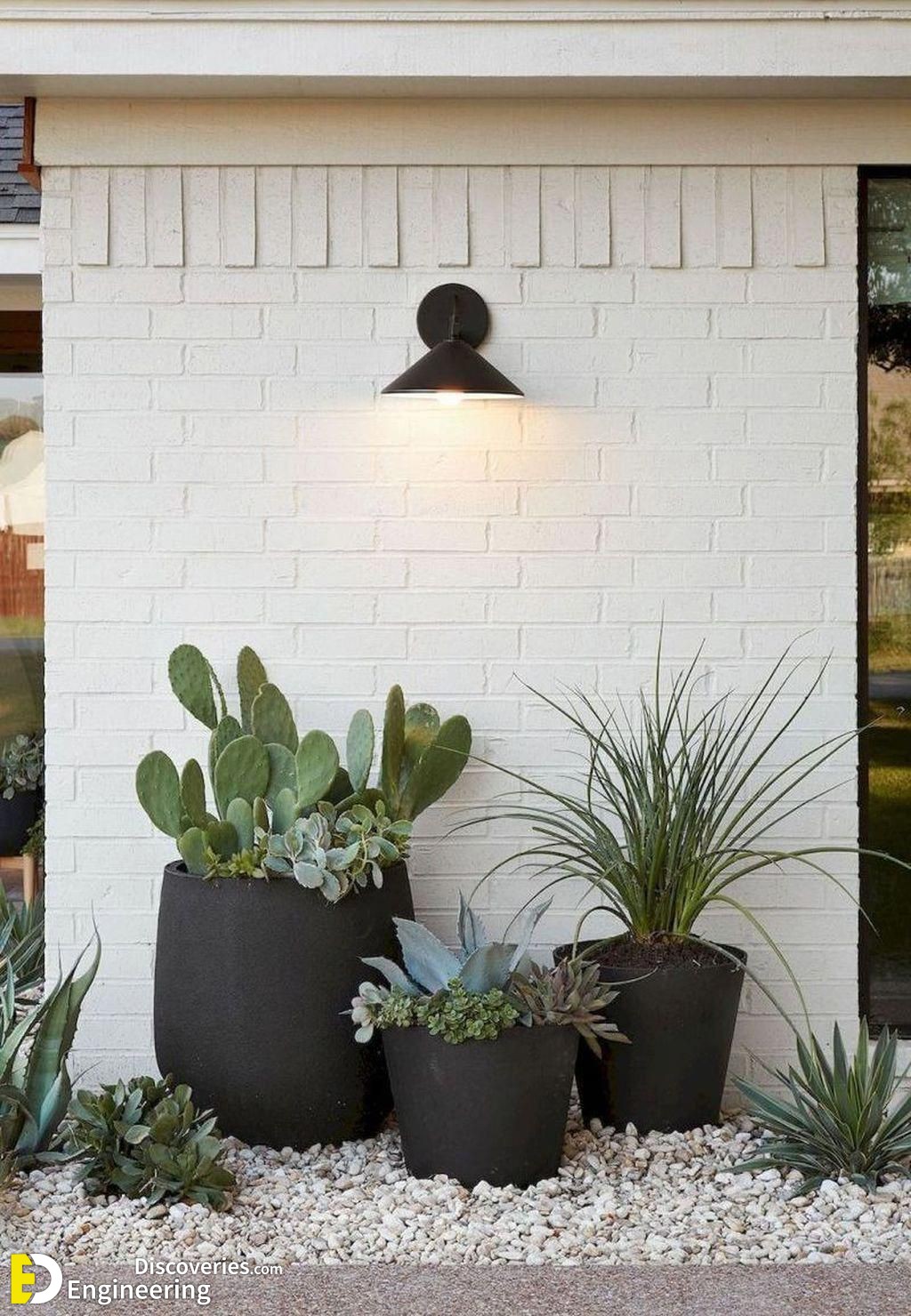 20-engineering-discoveries-stunning-aloe-vera-decor-ideas-that-will-transform-your-space.jpg