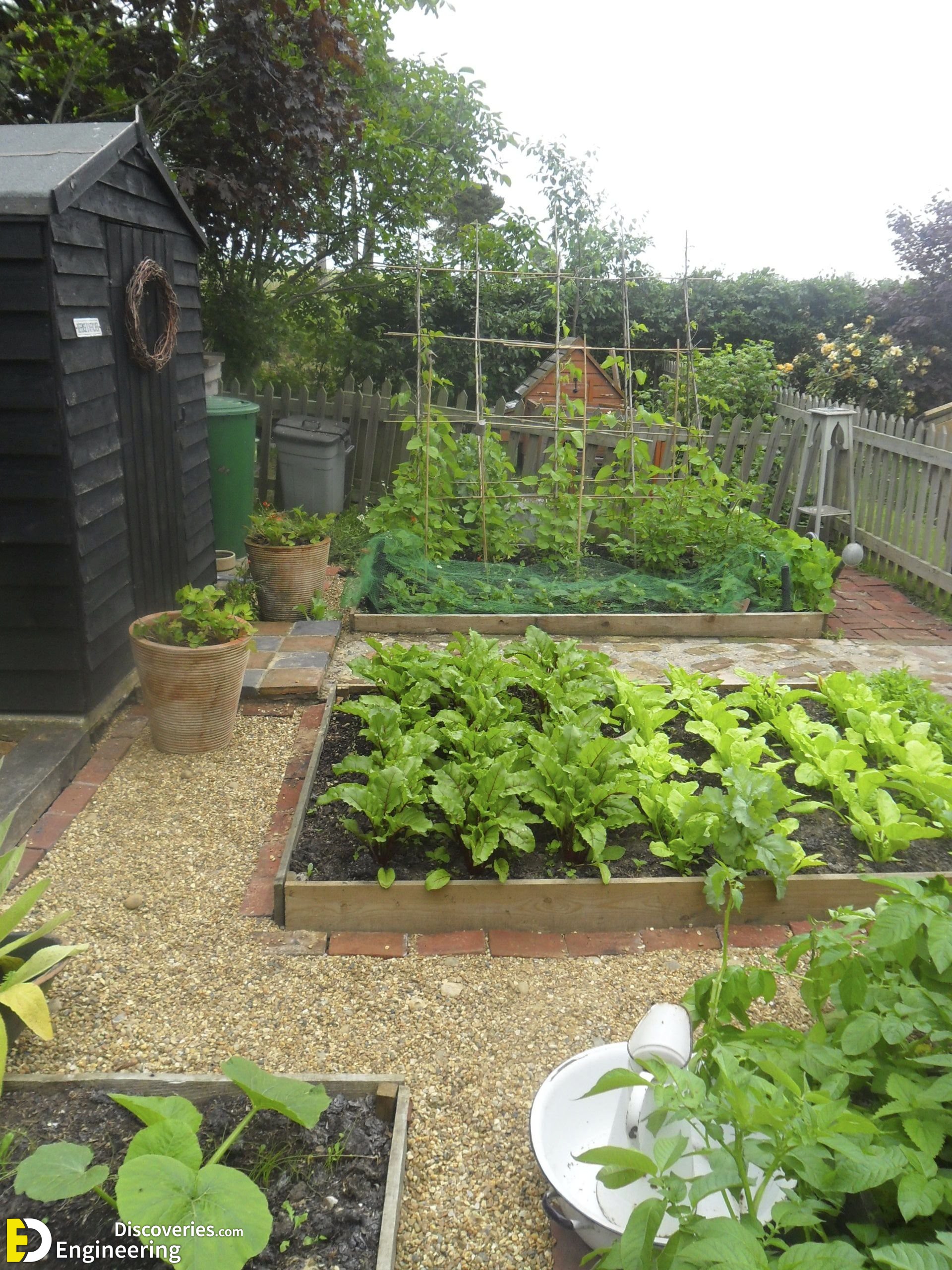 21-engineering-discoveries-eat-fresh-live-fresh-the-ultimate-guide-on-how-to-grow-fresh-and-healthy-vegetables-at-home.jpg