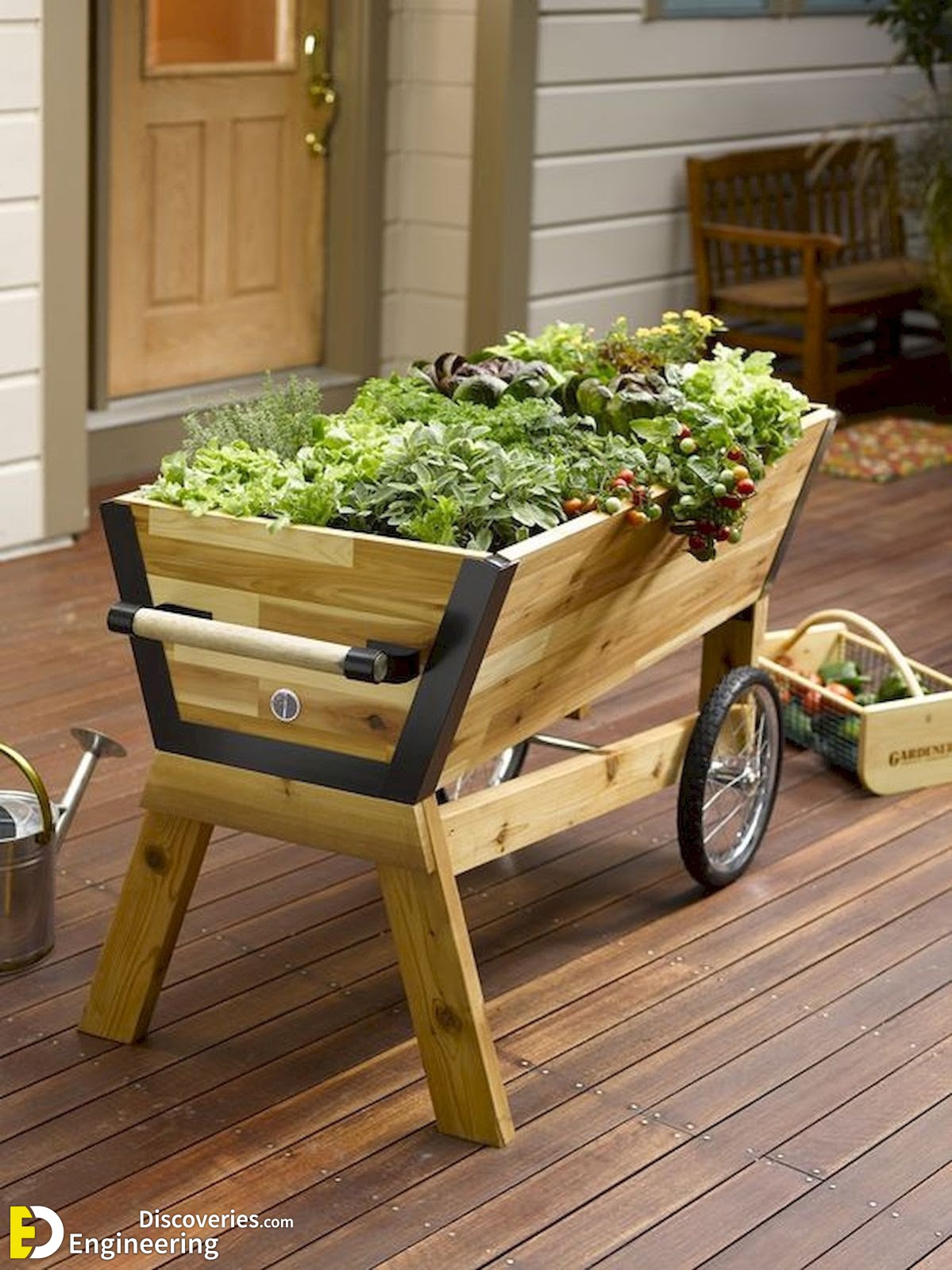 25-engineering-discoveries-eat-fresh-live-fresh-the-ultimate-guide-on-how-to-grow-fresh-and-healthy-vegetables-at-home.jpg