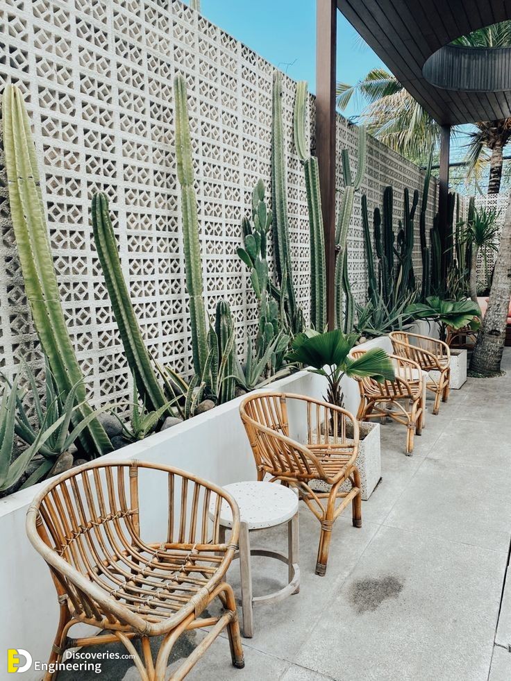 3-engineering-discoveries-stunning-aloe-vera-decor-ideas-that-will-transform-your-space.jpg