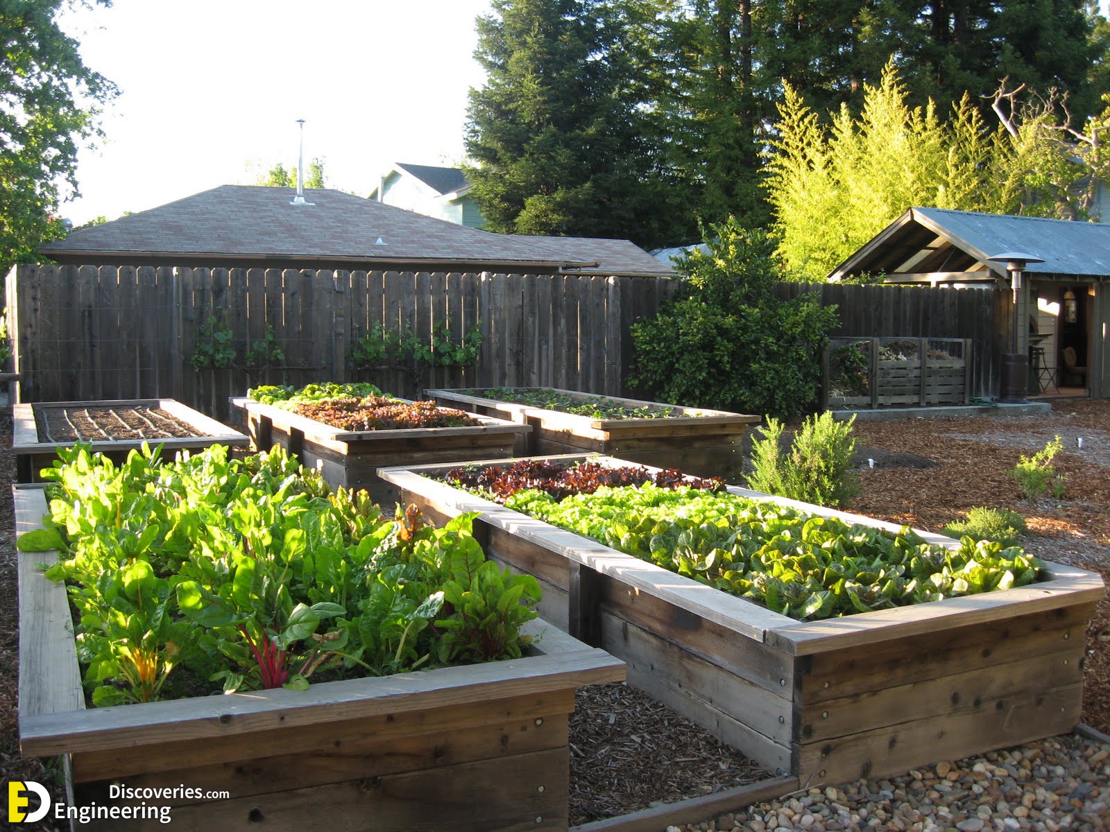 31-engineering-discoveries-eat-fresh-live-fresh-the-ultimate-guide-on-how-to-grow-fresh-and-healthy-vegetables-at-home.jpg