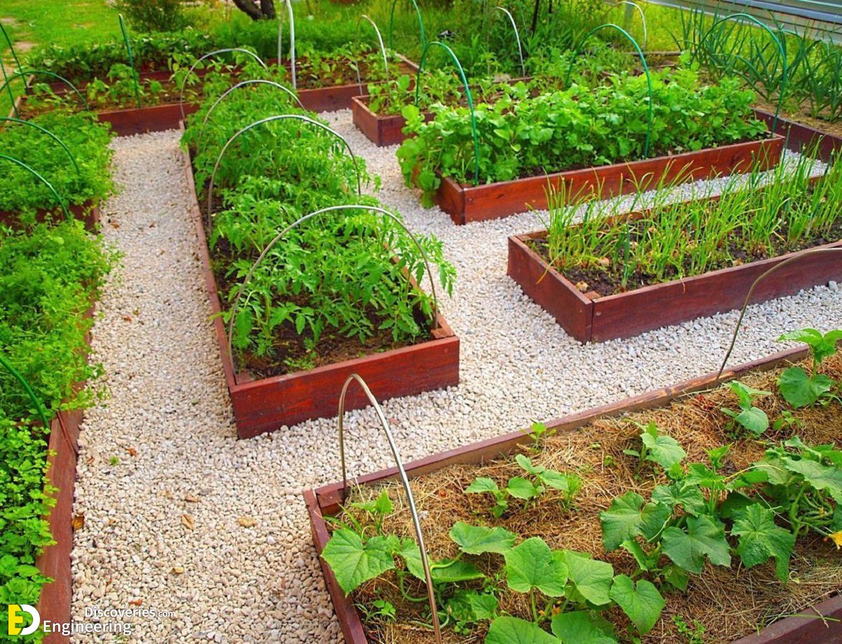 32-engineering-discoveries-eat-fresh-live-fresh-the-ultimate-guide-on-how-to-grow-fresh-and-healthy-vegetables-at-home.jpg