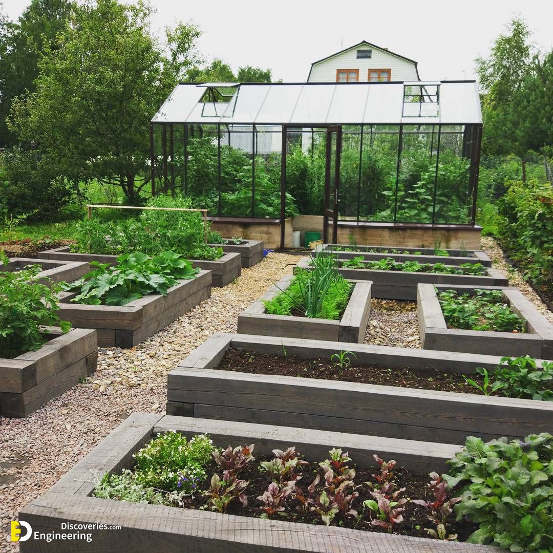 34-engineering-discoveries-eat-fresh-live-fresh-the-ultimate-guide-on-how-to-grow-fresh-and-healthy-vegetables-at-home.jpg
