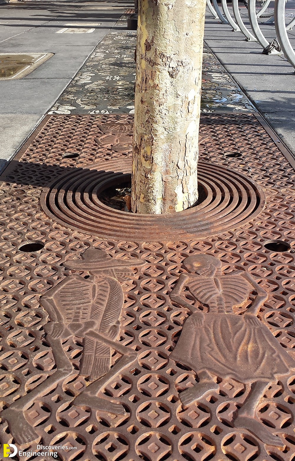 4-engineering-discoveries-discover-the-hottest-modern-tree-grate-design-ideas.jpg