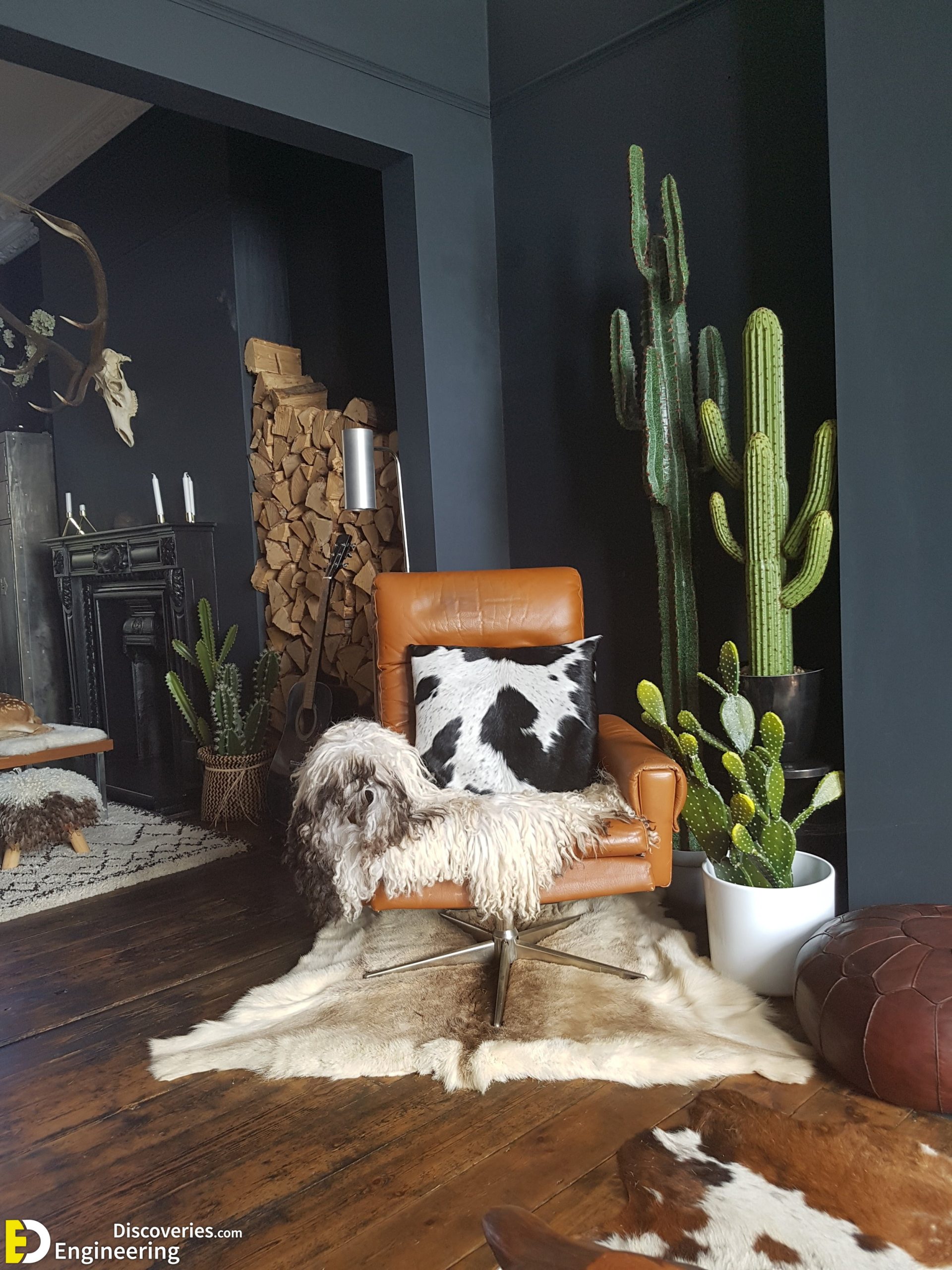 6-engineering-discoveries-stunning-aloe-vera-decor-ideas-that-will-transform-your-space-scaled.jpg
