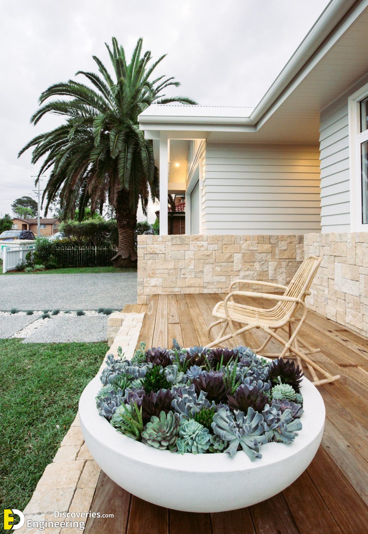 7-engineering-discoveries-stunning-aloe-vera-decor-ideas-that-will-transform-your-space.jpg