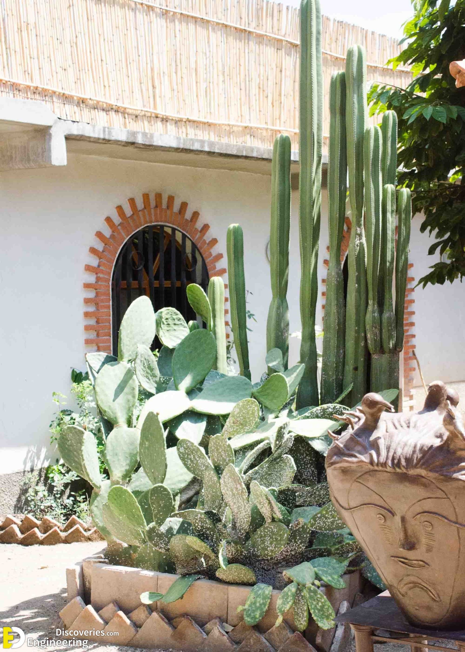9-engineering-discoveries-stunning-aloe-vera-decor-ideas-that-will-transform-your-space-scaled.jpg