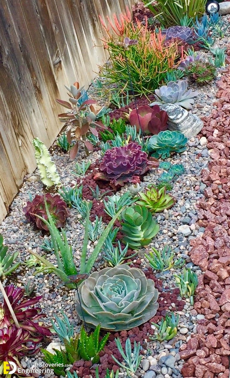 10-engineering-discoveries-nature-inspired-oasis-31-river-rock-landscaping-ideas-to-elevate-your-garden.jpg