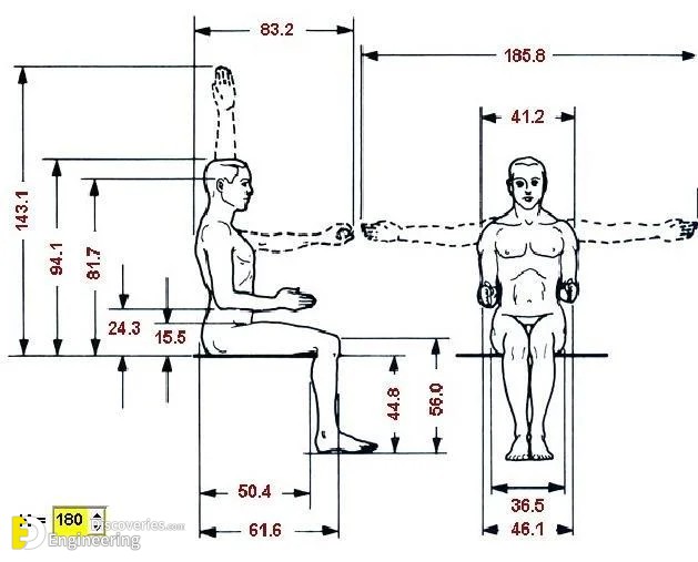 21-engineering-discoveries-understanding-the-importance-of-human-body-measurements-in-product-design.jpg
