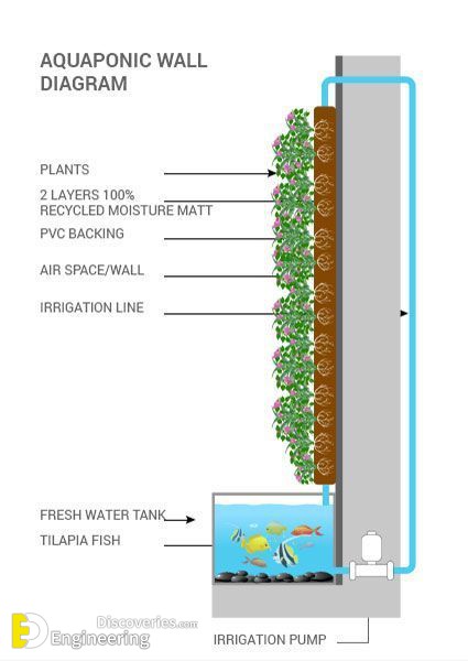 19-engineering-discoveries-vertical-garden-systems-and8211-green-wall-details.jpg